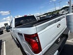 2025 F-150 Thumbnail 20