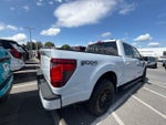 2025 F-150 Thumbnail 22