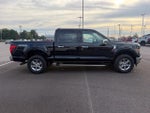 2024 F-150 Thumbnail 4