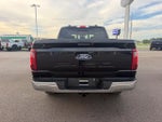 2024 F-150 Thumbnail 6