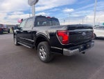 2024 F-150 Thumbnail 7