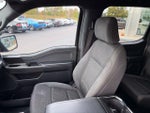 2024 F-150 Thumbnail 10