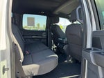 2024 F-150 Thumbnail 10