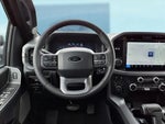 2025 F-150 Thumbnail 4