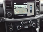 2025 F-150 Thumbnail 12