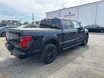 2025 F-150 Thumbnail 10