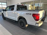2025 F-150 Thumbnail 6