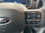 2025 F-150 Thumbnail 20