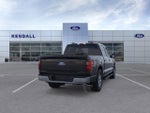2025 F-150 Thumbnail 8