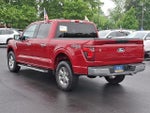 2025 F-150 Thumbnail 4