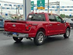 2025 F-150 Thumbnail 6