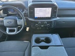 2025 F-150 Thumbnail 14