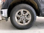 2025 F-150 Thumbnail 6