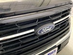 2025 F-150 Thumbnail 7