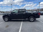 2025 F-150 Thumbnail 6