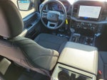 2025 F-150 Thumbnail 14