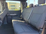 2025 F-150 Thumbnail 16