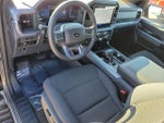 2025 F-150 Thumbnail 21