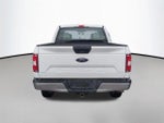 2019 F-150 Thumbnail 4
