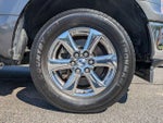 2019 F-150 Thumbnail 11