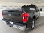 2022 F-150 Thumbnail 23