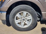 2023 F-150 Thumbnail 10