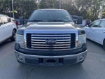 2010 F-150 Thumbnail 2