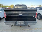 2010 F-150 Thumbnail 5