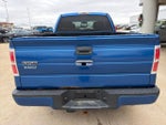 2010 F-150 Thumbnail 4