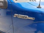 2010 F-150 Thumbnail 8