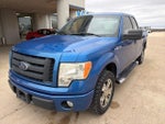 2010 F-150 Thumbnail 12