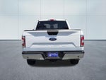 2019 F-150 Thumbnail 5