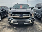 2019 F-150 Thumbnail 2
