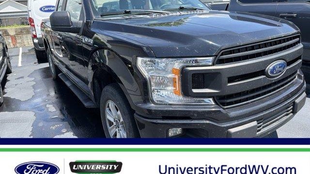 Preowned 2019 Ford F-150 XL for Sale