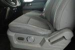 2013 F-150 Thumbnail 9