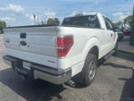2011 F-150 Thumbnail 5