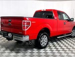 2014 F-150 Thumbnail 12
