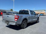 2023 F-150 Thumbnail 4