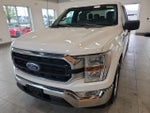 2021 F-150 Thumbnail 2