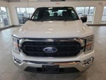 2021 F-150 Thumbnail 3