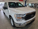2021 F-150 Thumbnail 4