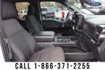 2022 F-150 Thumbnail 24