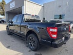 2021 F-150 Thumbnail 5