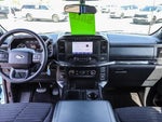 2021 F-150 Thumbnail 12