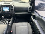 2018 F-150 Thumbnail 13
