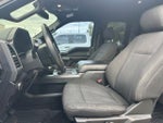 2018 F-150 Thumbnail 14