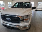 2021 F-150 Thumbnail 2