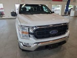 2021 F-150 Thumbnail 4