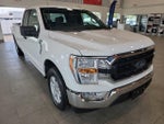 2021 F-150 Thumbnail 5