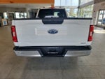 2021 F-150 Thumbnail 10